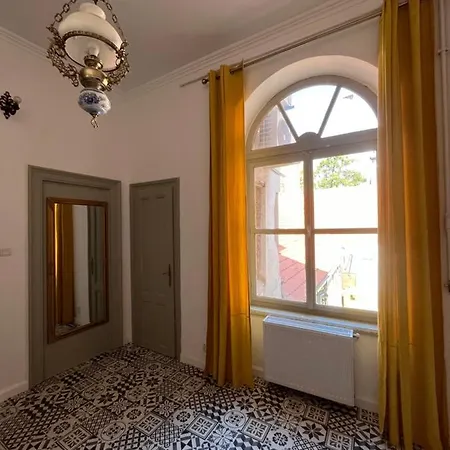 Barty Downtown 1 Апартаменты Тимишоара